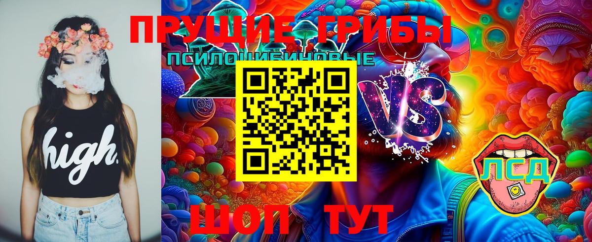 Псилоцибиновые грибы мухоморы  наркошоп  Гусиноозёрск  Вход с VPN 